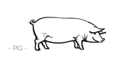 豚革の特徴｜革のトリビア - 【公式】BLUE SINCERE(ブルーシンシア)オンラインショップ