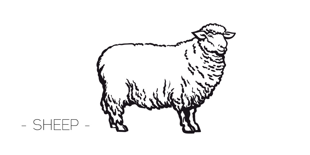 羊革の特徴｜革のトリビア - 【公式】BLUE SINCERE(ブルーシンシア)オンラインショップ